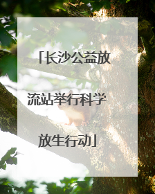 长沙公益放流站举行科学放生行动